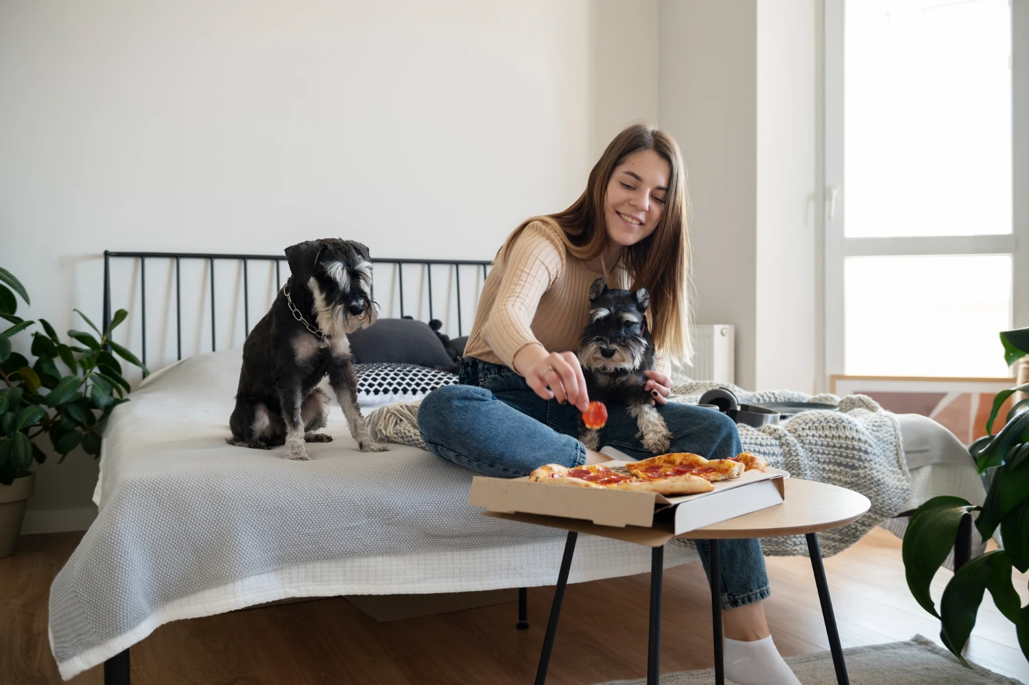 Дівчина з двома шнауцерами у номері pet-friendly готелю BANKHOTEL у Львові